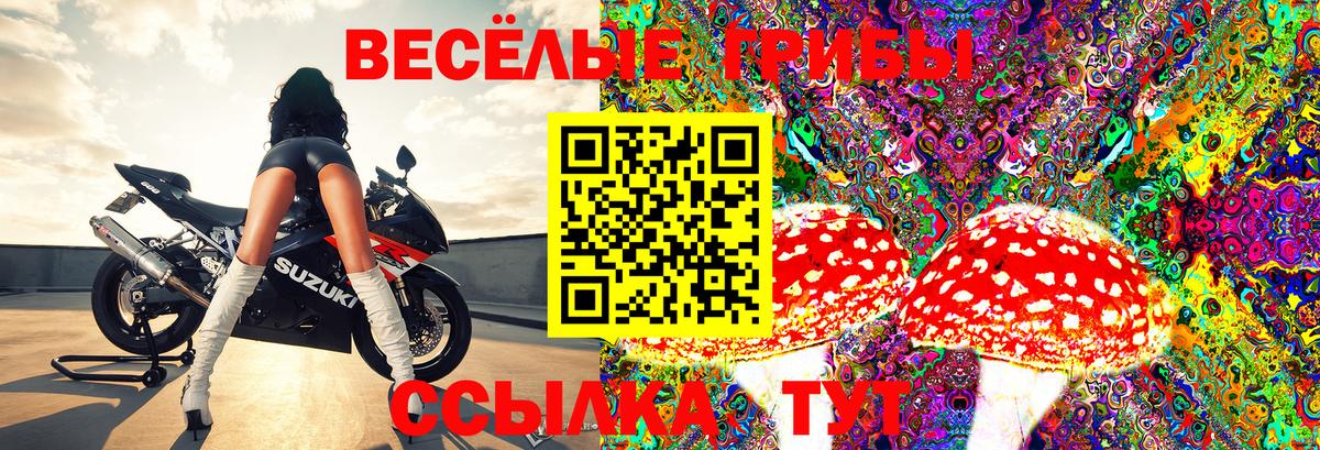 Псилоцибиновые грибы Magic Shrooms Владимир